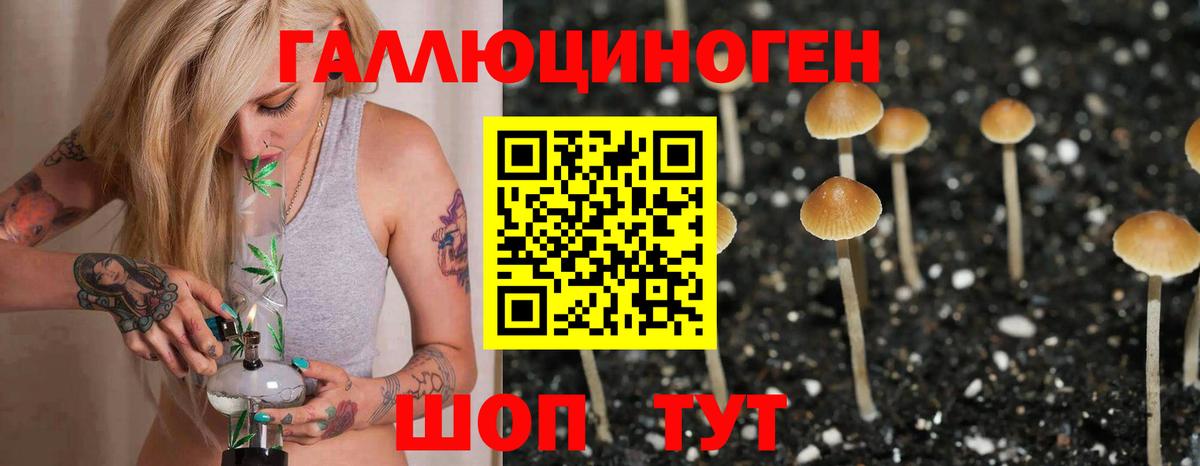 Галлюциногенные грибы Psilocybine cubensis Клин