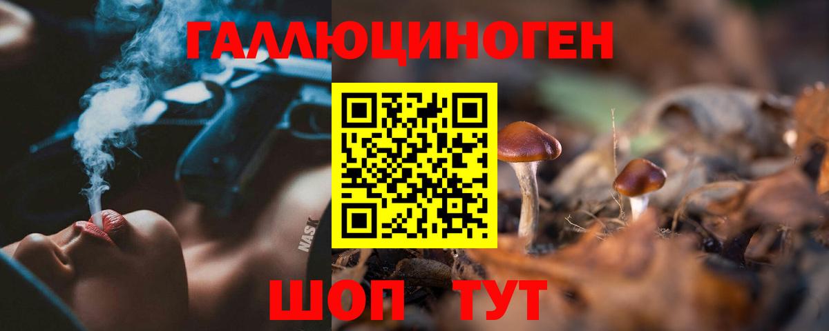 закладки  Вход с VPN  Клин  Галлюциногенные грибы Cubensis 